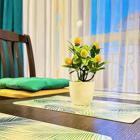 Apartman Nani -sunny